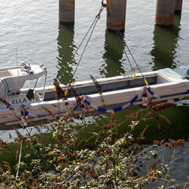 Bild 1 von Projekt ELLA